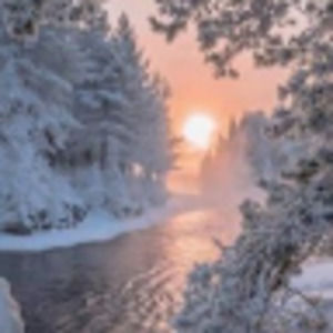 Meet your Posher, Charlotte c.